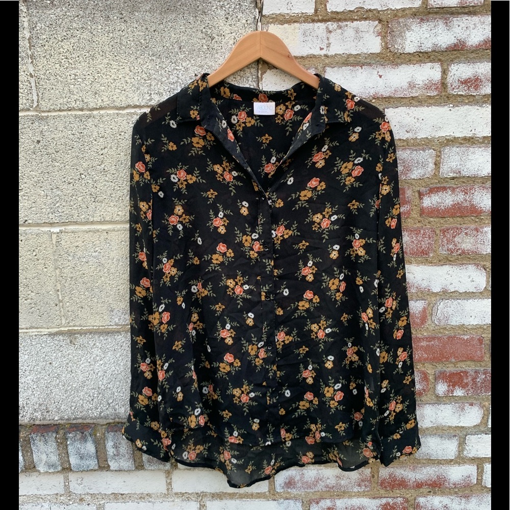 Sheer Button-Down Blouse
